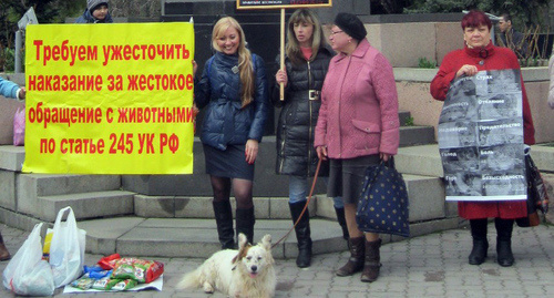 Плакат участницы пикета в защиту животныхПлакат с требованием ужесточения наказания живодёрамФото Константина Волгина для "Кавказского узла"  