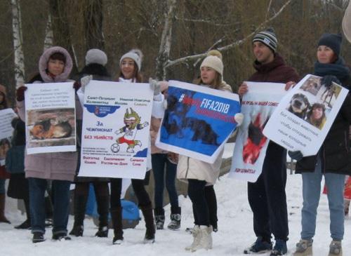 Пикет в защиту бездомных животных в Ростове-на-Дону. 24 февраля 2018 года. Фото Константина Волгина для "Кавказского узла"