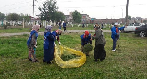 Жители Аргуна во время субботника. Фото: пресс-служба партии "Единая Россия" https://chechen.er.ru/