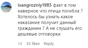 Скриншот комментария к видео с задержанным после  убийства орла, https://www.instagram.com/p/CBGleITJ-pH/