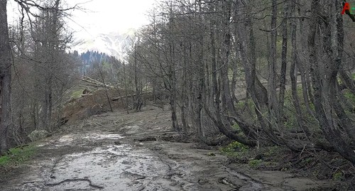 Оползень перекрыл дорогу и загрязнил озеро Рица. Кадр видео 
Аҧсуа телехәаҧшра https://www.youtube.com/watch?v=twCrYxEvH_0